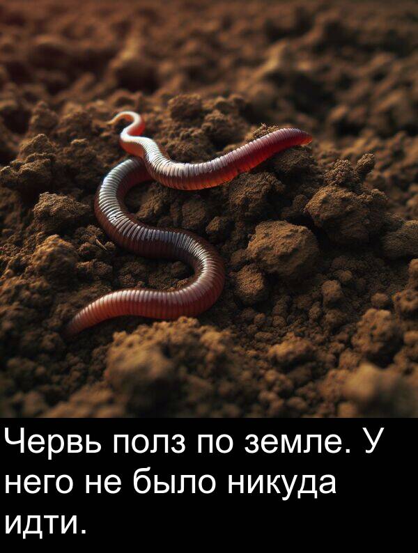 него: Червь полз по земле. У него не было никуда идти.
