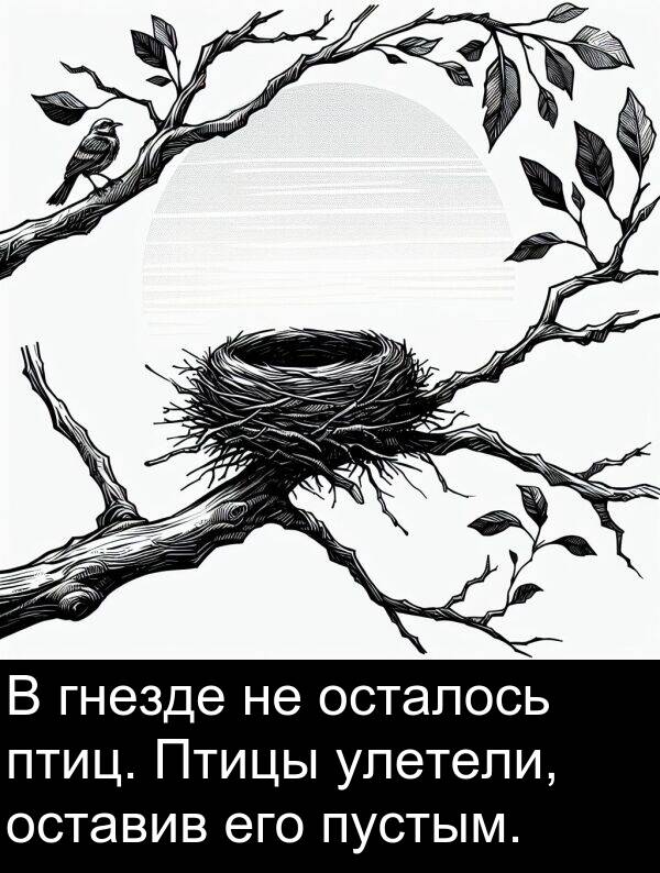 пустым: В гнезде не осталось птиц. Птицы улетели, оставив его пустым.