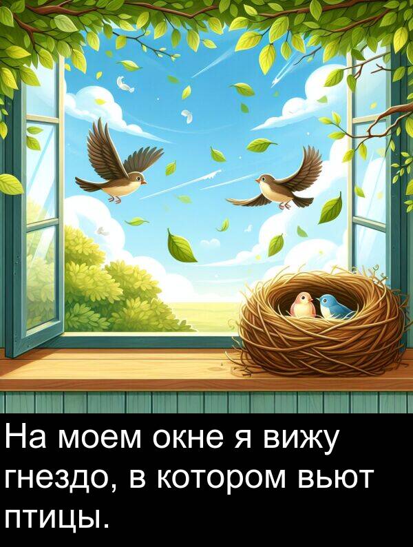 вьют: На моем окне я вижу гнездо, в котором вьют птицы.