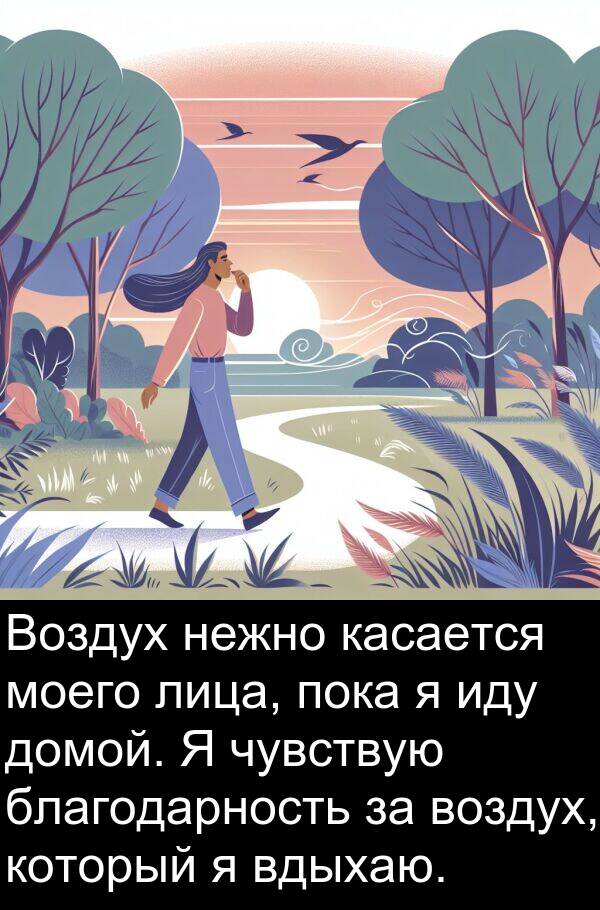 вдыхаю: Воздух нежно касается моего лица, пока я иду домой. Я чувствую благодарность за воздух, который я вдыхаю.