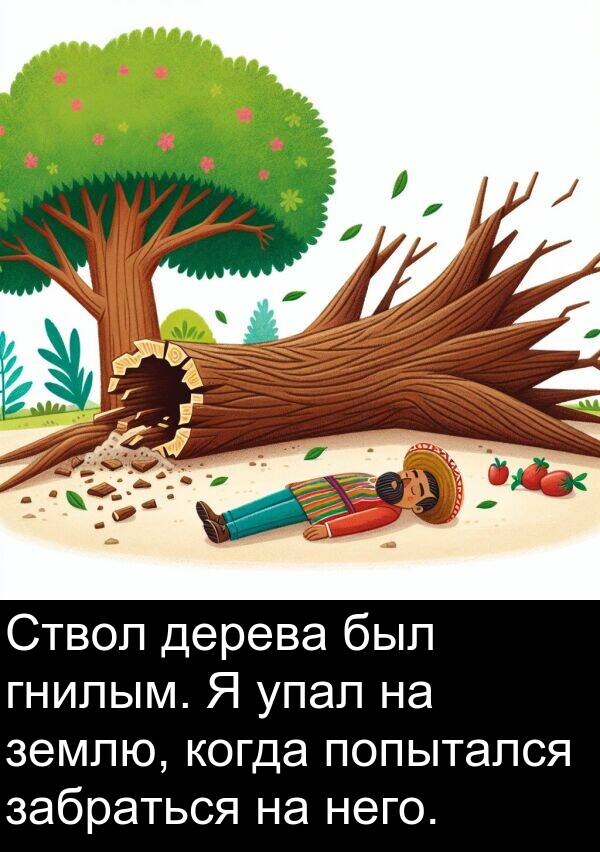 упал: Ствол дерева был гнилым. Я упал на землю, когда попытался забраться на него.