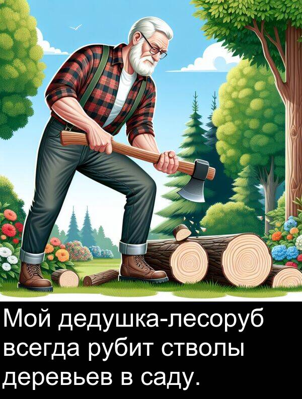 саду: Мой дедушка-лесоруб всегда рубит стволы деревьев в саду.