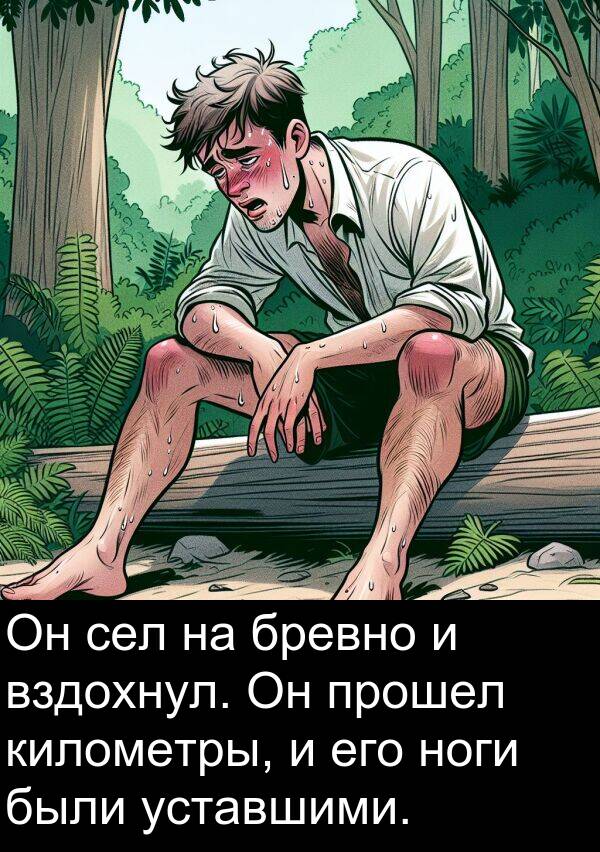 километры: Он сел на бревно и вздохнул. Он прошел километры, и его ноги были уставшими.