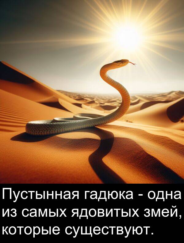 которые: Пустынная гадюка - одна из самых ядовитых змей, которые существуют.