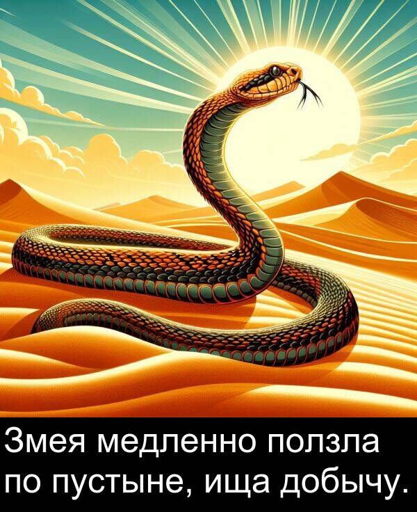 пустыне: Змея медленно ползла по пустыне, ища добычу.