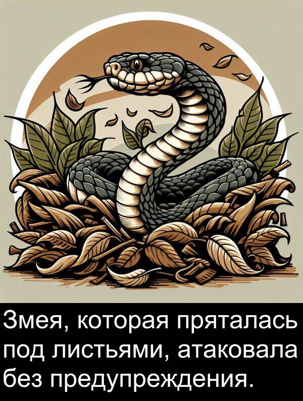 пряталась: Змея, которая пряталась под листьями, атаковала без предупреждения.