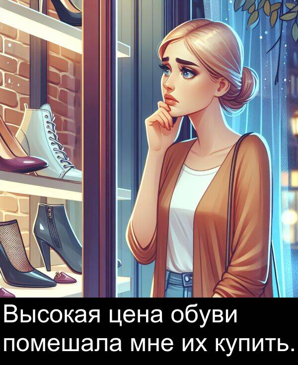 цена: Высокая цена обуви помешала мне их купить.