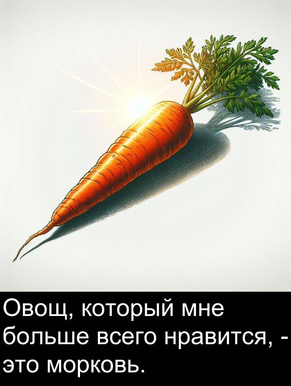 который: Овощ, который мне больше всего нравится, - это морковь.
