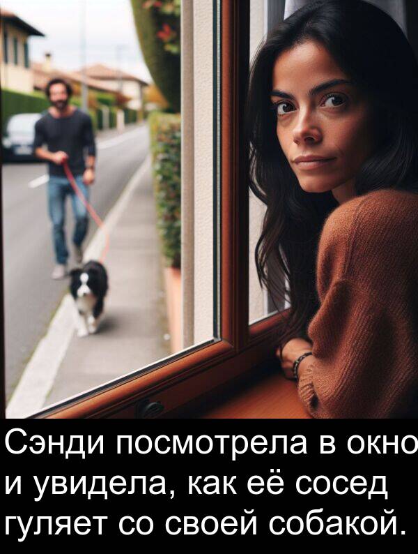 посмотрела: Сэнди посмотрела в окно и увидела, как её сосед гуляет со своей собакой.
