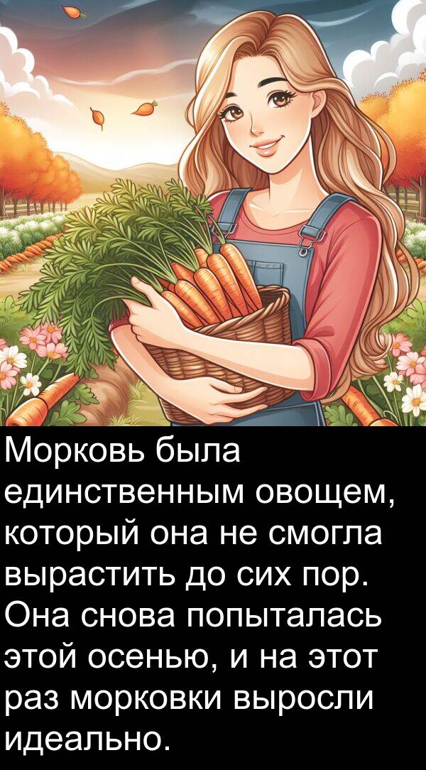 выросли: Морковь была единственным овощем, который она не смогла вырастить до сих пор. Она снова попыталась этой осенью, и на этот раз морковки выросли идеально.