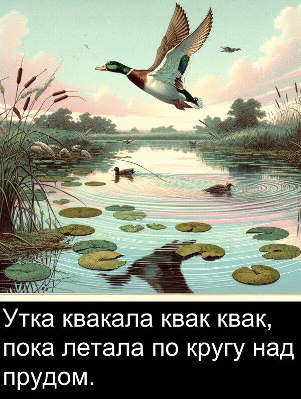 прудом: Утка квакала квак квак, пока летала по кругу над прудом.