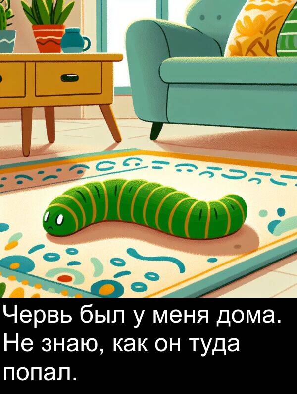 как: Червь был у меня дома. Не знаю, как он туда попал.
