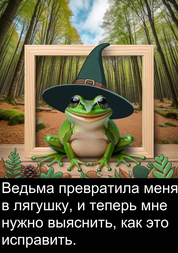 выяснить: Ведьма превратила меня в лягушку, и теперь мне нужно выяснить, как это исправить.