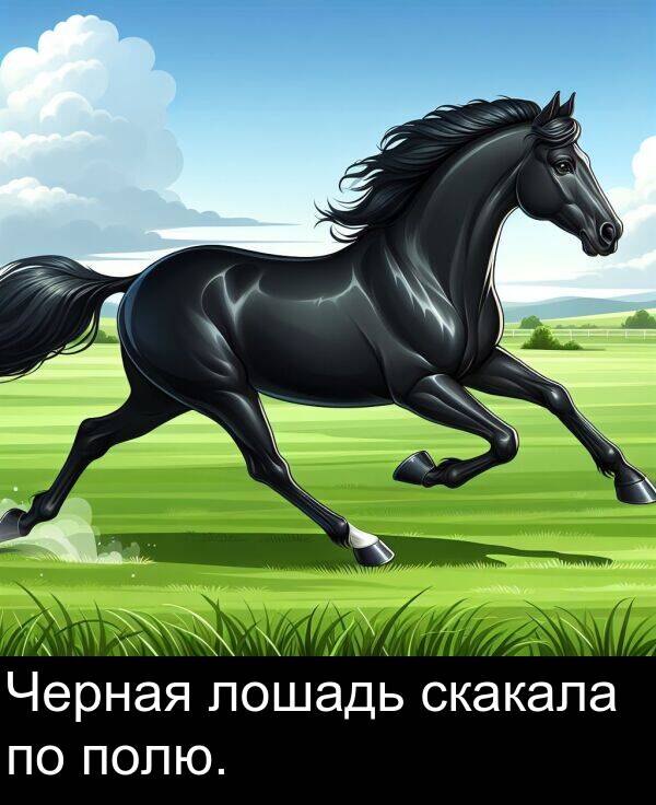 полю: Черная лошадь скакала по полю.