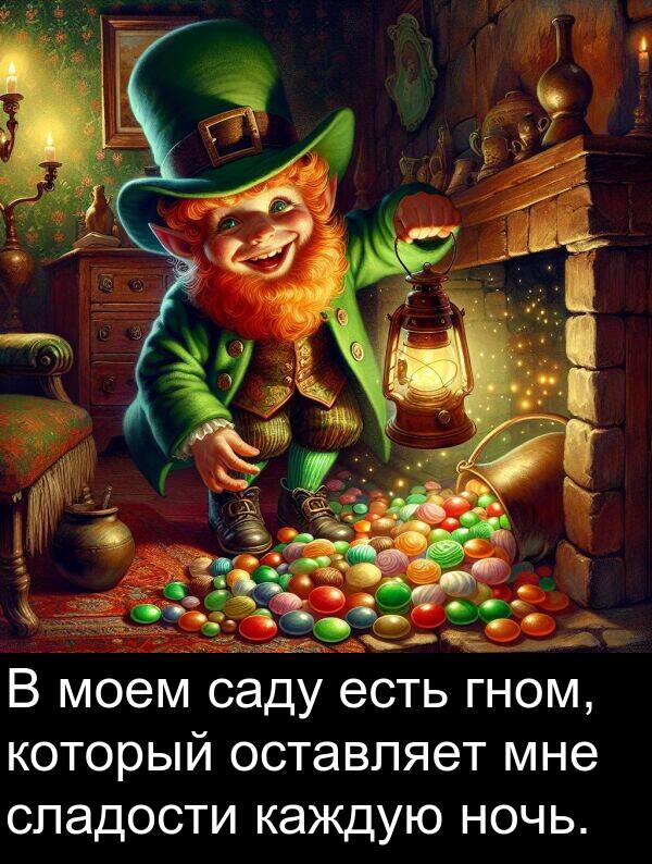 который: В моем саду есть гном, который оставляет мне сладости каждую ночь.