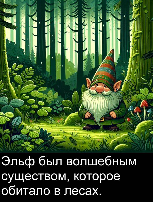 которое: Эльф был волшебным существом, которое обитало в лесах.