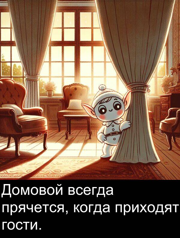 когда: Домовой всегда прячется, когда приходят гости.