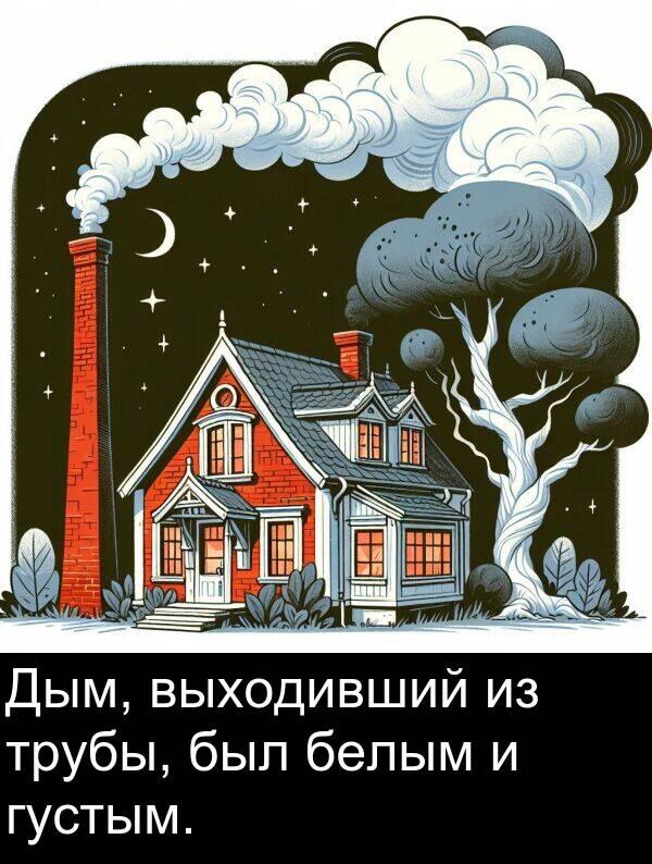 выходивший: Дым, выходивший из трубы, был белым и густым.