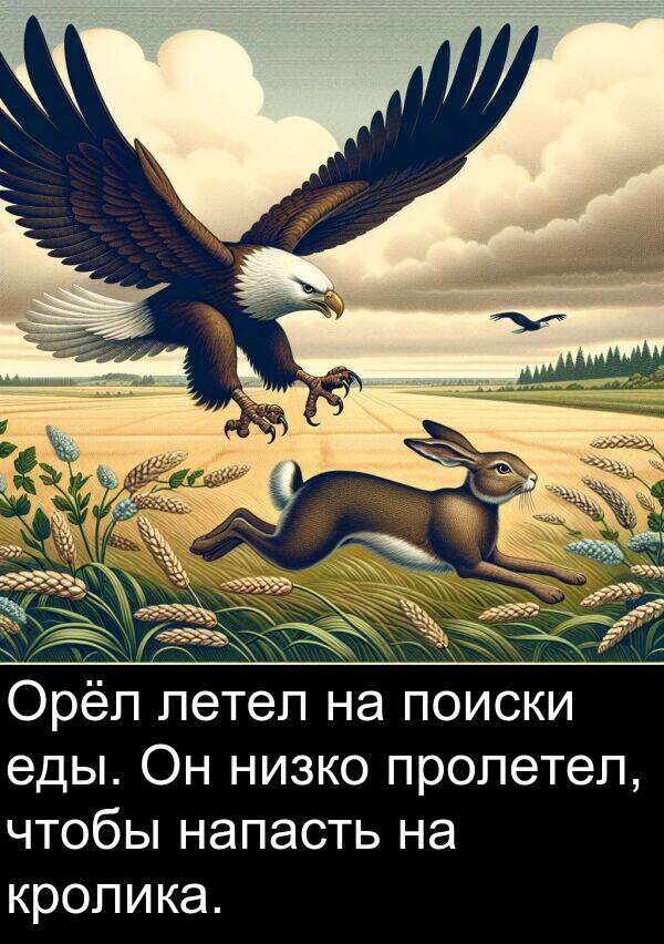 пролетел: Орёл летел на поиски еды. Он низко пролетел, чтобы напасть на кролика.