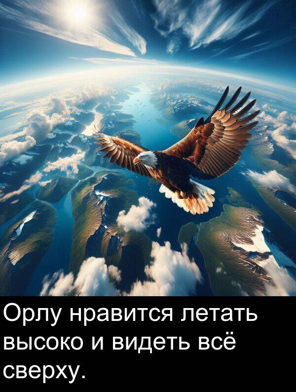 сверху: Орлу нравится летать высоко и видеть всё сверху.