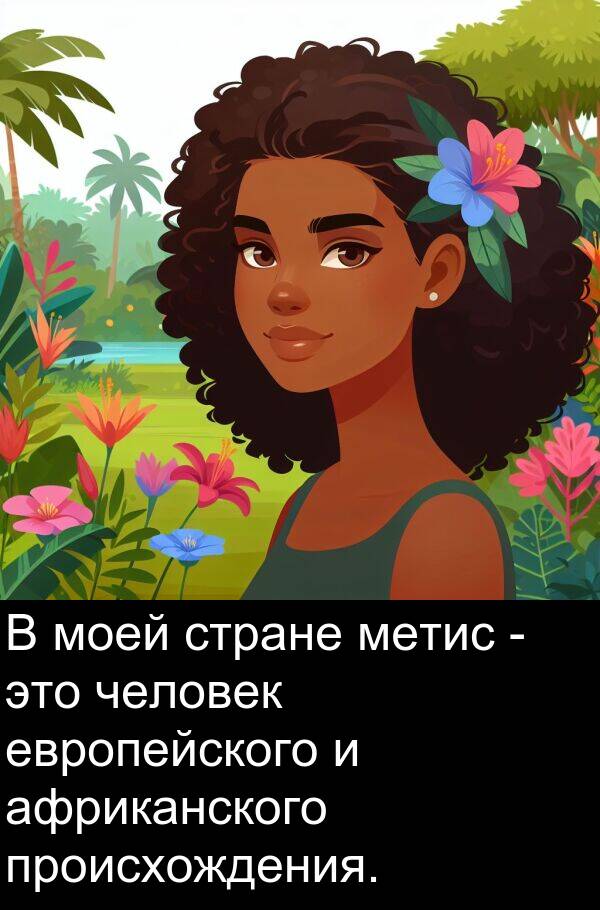 происхождения: В моей стране метис - это человек европейского и африканского происхождения.