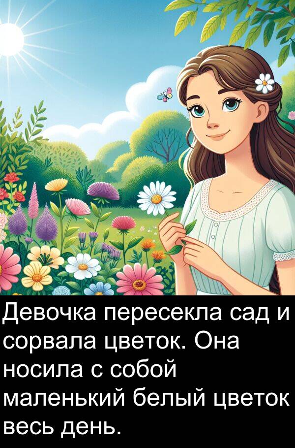 весь: Девочка пересекла сад и сорвала цветок. Она носила с собой маленький белый цветок весь день.