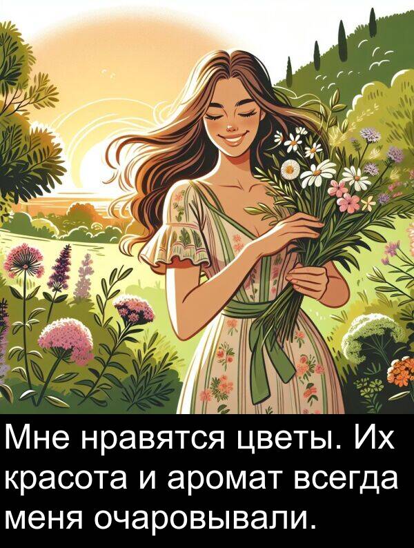 красота: Мне нравятся цветы. Их красота и аромат всегда меня очаровывали.