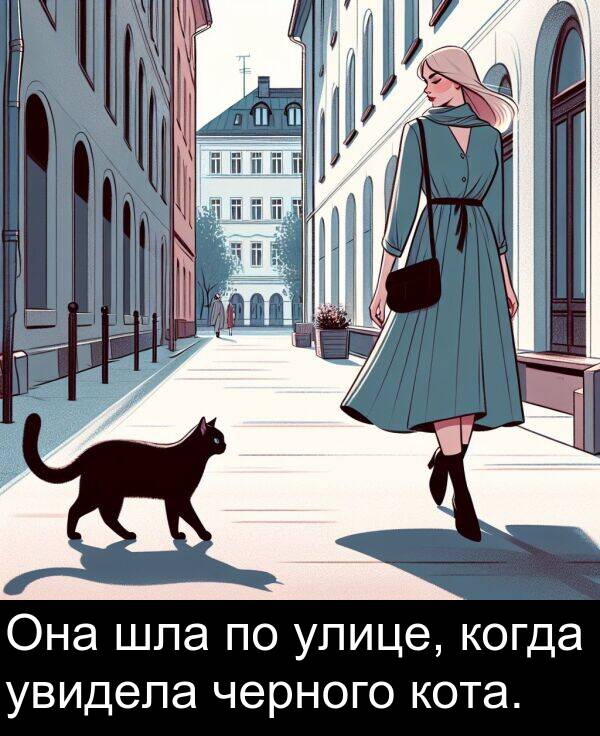 шла: Она шла по улице, когда увидела черного кота.