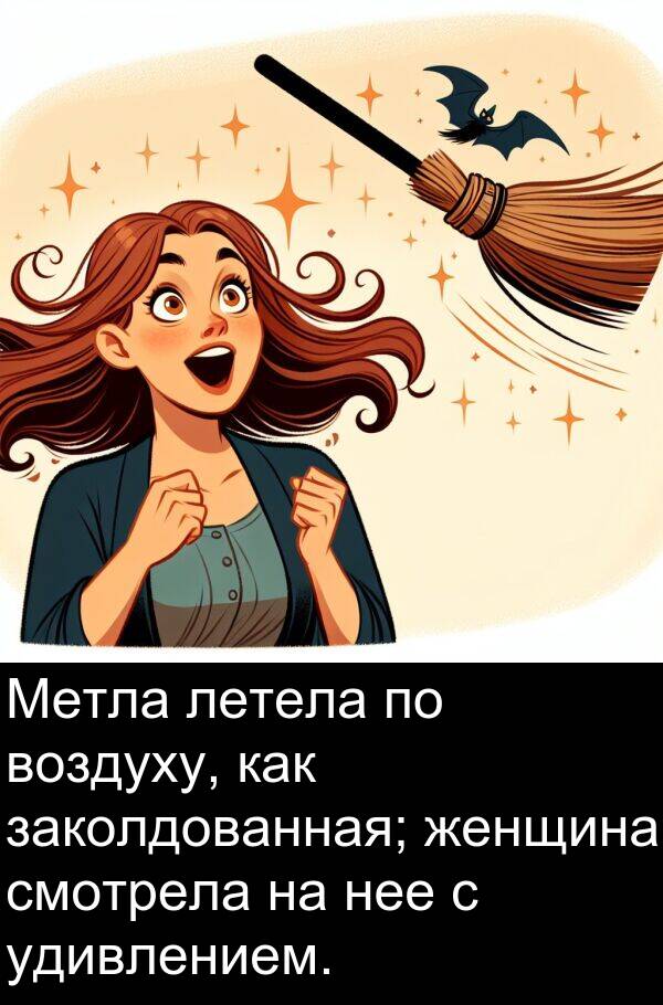 женщина: Метла летела по воздуху, как заколдованная; женщина смотрела на нее с удивлением.
