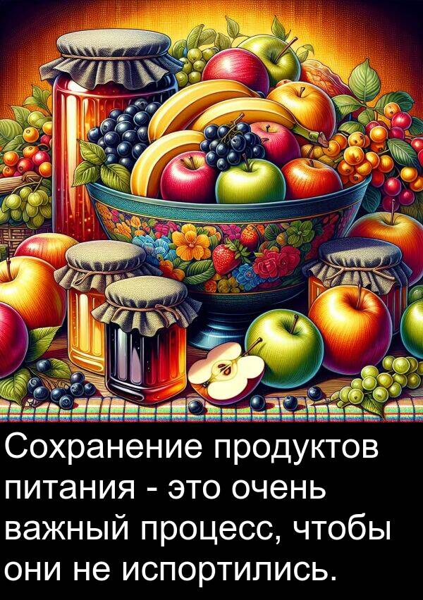 продуктов: Сохранение продуктов питания - это очень важный процесс, чтобы они не испортились.