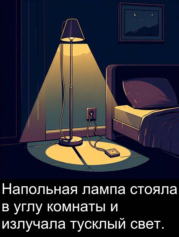 комнаты: Напольная лампа стояла в углу комнаты и излучала тусклый свет.
