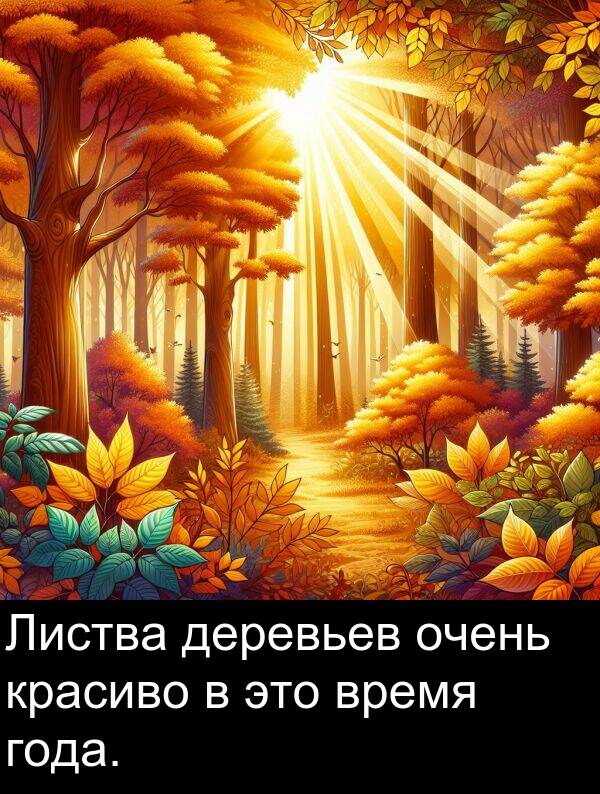 красиво: Листва деревьев очень красиво в это время года.