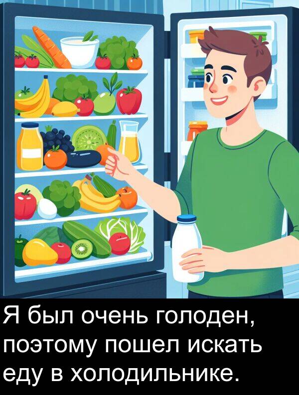 поэтому: Я был очень голоден, поэтому пошел искать еду в холодильнике.