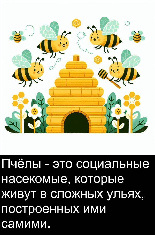 построенных: Пчёлы - это социальные насекомые, которые живут в сложных ульях, построенных ими самими.