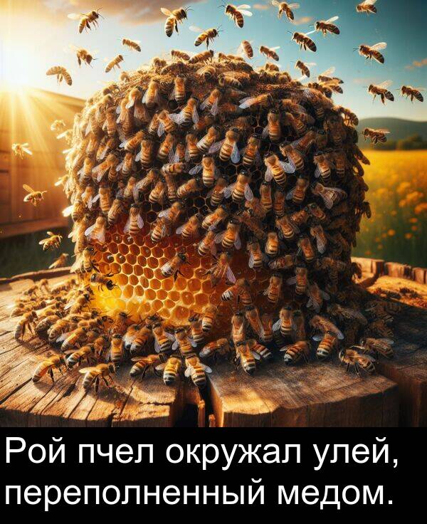 пчел: Рой пчел окружал улей, переполненный медом.