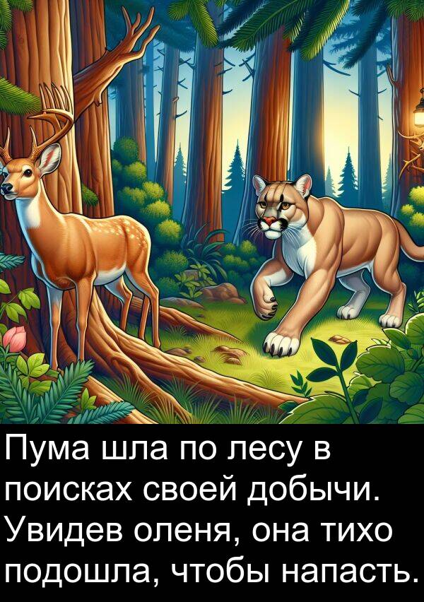 шла: Пума шла по лесу в поисках своей добычи. Увидев оленя, она тихо подошла, чтобы напасть.