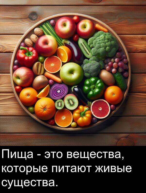 которые: Пища - это вещества, которые питают живые существа.