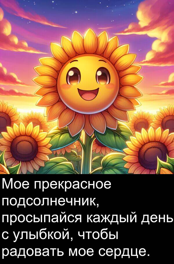 просыпайся: Мое прекрасное подсолнечник, просыпайся каждый день с улыбкой, чтобы радовать мое сердце.