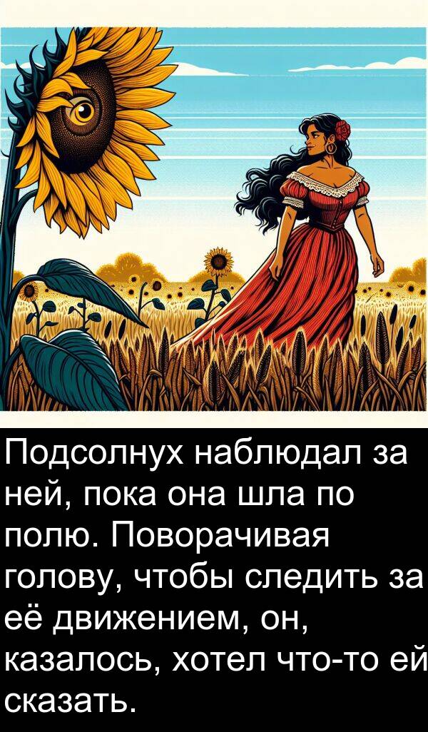 шла: Подсолнух наблюдал за ней, пока она шла по полю. Поворачивая голову, чтобы следить за её движением, он, казалось, хотел что-то ей сказать.