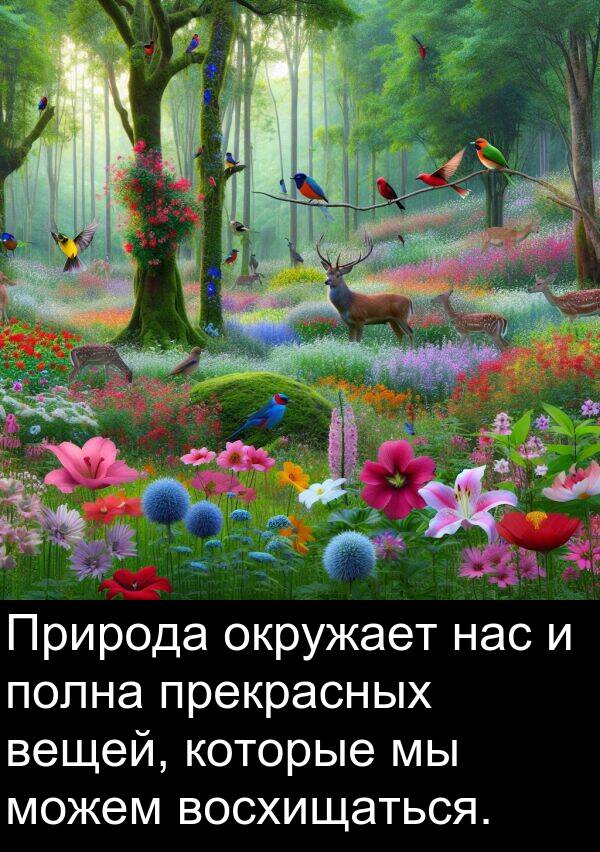восхищаться: Природа окружает нас и полна прекрасных вещей, которые мы можем восхищаться.