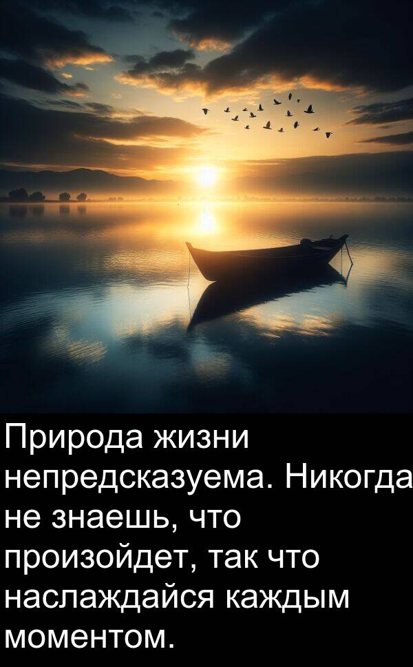 произойдет: Природа жизни непредсказуема. Никогда не знаешь, что произойдет, так что наслаждайся каждым моментом.