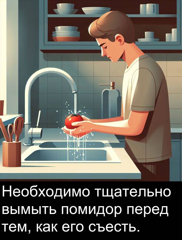 вымыть: Необходимо тщательно вымыть помидор перед тем, как его съесть.
