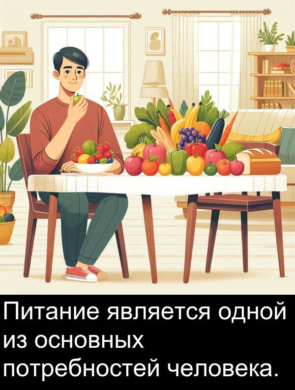 потребностей: Питание является одной из основных потребностей человека.