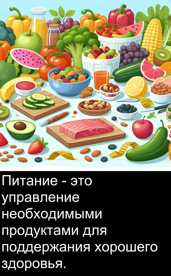 продуктами: Питание - это управление необходимыми продуктами для поддержания хорошего здоровья.