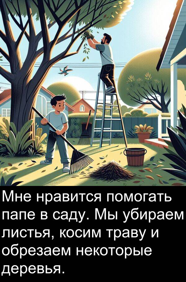 косим: Мне нравится помогать папе в саду. Мы убираем листья, косим траву и обрезаем некоторые деревья.