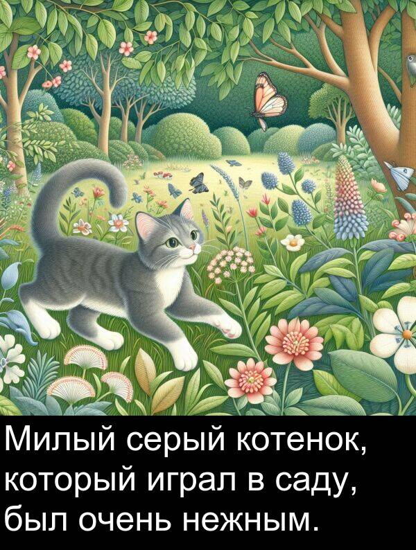 который: Милый серый котенок, который играл в саду, был очень нежным.