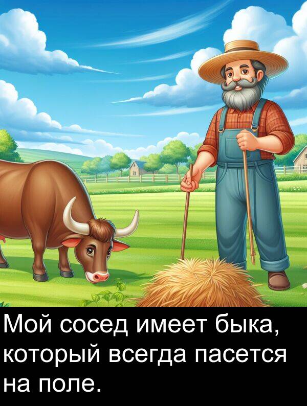 который: Мой сосед имеет быка, который всегда пасется на поле.