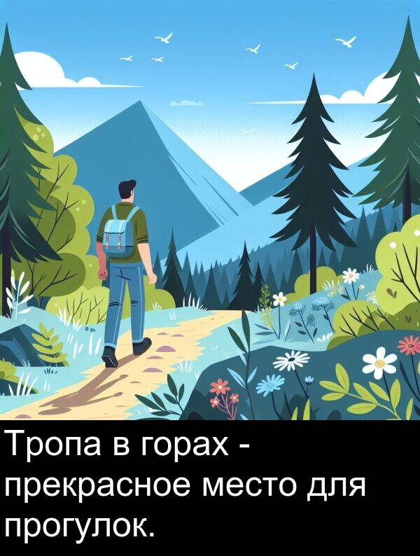 прогулок: Тропа в горах - прекрасное место для прогулок.