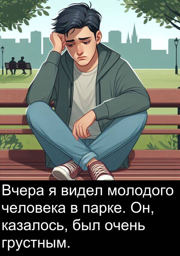 человека: Вчера я видел молодого человека в парке. Он, казалось, был очень грустным.
