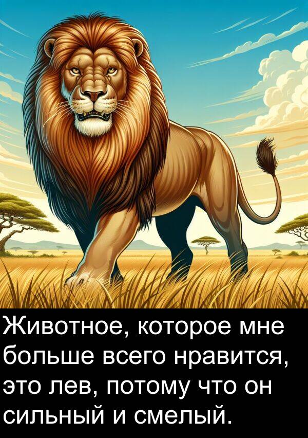 потому: Животное, которое мне больше всего нравится, это лев, потому что он сильный и смелый.